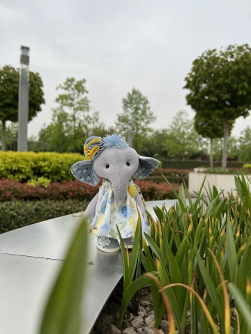 Слоняшка голубая ромашка